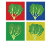 Spinach Shirt