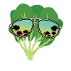 Spinach Sunglasses