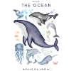 défendre les baleines - océan