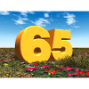 Year 65