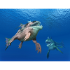 Monstrous fish