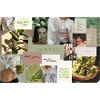 motivating inspiring moodboard green
