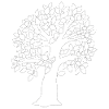 Tree White