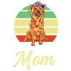 Goldene Mutter Tierarzt Gift
