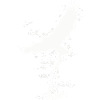 Eagle | Bird | Freedom | Ink