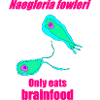 Neon Amoeba Biology Tee