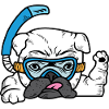 Bulldog diving. Dog parent. Poison