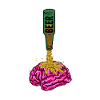 Shut Up Brain