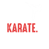 Karate Karate Fighter Martial Arts