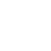 Roe v Wade 1973