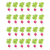Radish