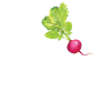 I LIebe Radishes