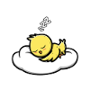 Official sleepshirt chicken
