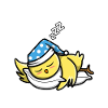Official sleepshirt chicken