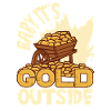 Mine d’or minière