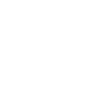 Wild West