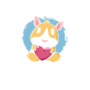 Guinea Pig Dad