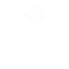 Shih Tzu Dog Heartbeat