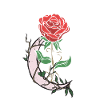 Rose avec lune