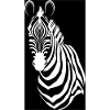 Zebra | Wildlife | Zoo | Africa