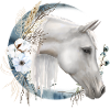 Horse motif Boho