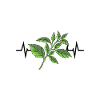 Basil Plant Heartbeat