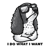 Deutsch Springer Spaniel Dog