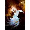 The whirling wind bride