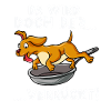 Hund