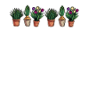 Pflanzen sind Freunde Garten