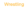 Wrestling Definition Self-Control Trainer