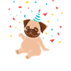It's met birthday