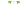 Landscaper Landscaping Landscape