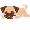 Nope