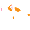 Nope Cat