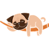 My spirit animal