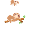 Nope Not Today