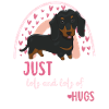 Sweet Dachshund Lover Kawaii