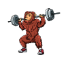 Gympanse