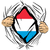 Luxembourg Flag Luxembourg flag Home