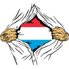 Luxembourg Flag Luxembourg flag Home
