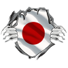 Japan flag brugt Se Nihon japansk flag