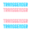 Drapeau transgenre Trans Pride LGBTQ