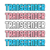 Transgender Flag Trans Pride LGBTQ