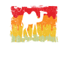 Camel Rétro