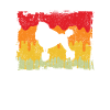 Caniche Rétro