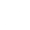 Astrological symbol Gemini, twin
