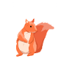 Eichhörnchen Tier Tiere Geschenk