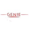 Ingénieur ou génie ?