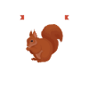 Eichhörnchen Tier Eichhörnchenliebhaber Geschenk